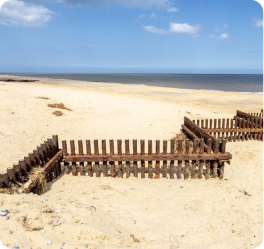 Capstone Health Image