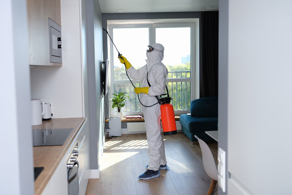How To Choose The Best Pest Control Company