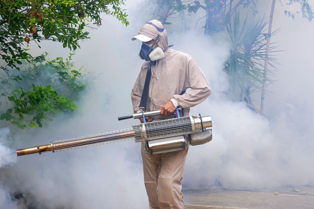 How Much Does Mosquito Control Service Cost In 2025?