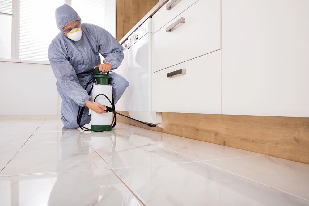 Is Pest Control Worth It? These 11 Reasons Say It Is
